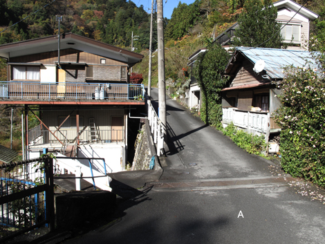 20151116hike (13)